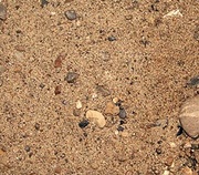 Песчано-гравийная смесь Песок природный мытый,  мелкий строительный ПГС - foto 1